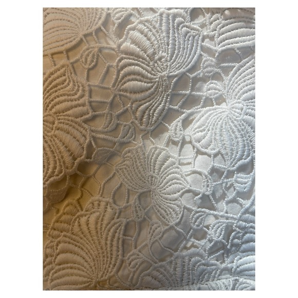 Ann Taylor White Lace High Waist Shorts - Picture 6 of 6